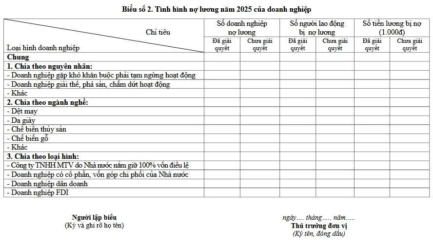 Mẫu báo cáo tình hình nợ lương