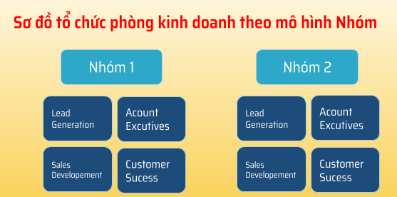 cơ cấu phòng kinh doanh